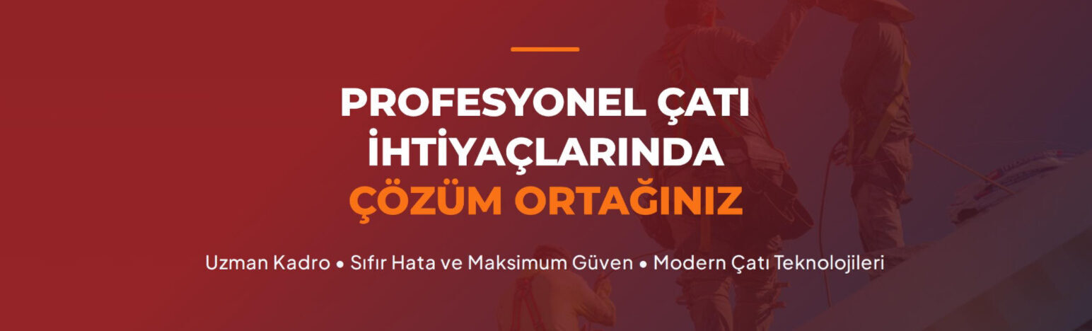 Çatı Ustası
